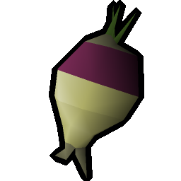 Rotten turnip