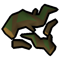 Ancient roots