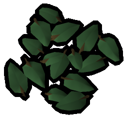 Damiana leaves