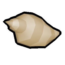 Sea shell