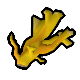 Elkhorn coral