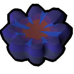 Umbral coral