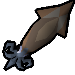 Raw swordtip squid