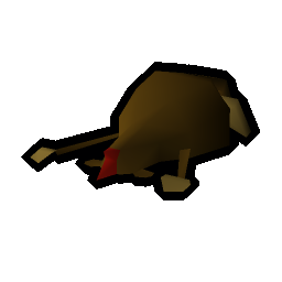 Monkey corpse