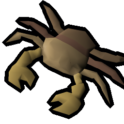 Raw rainbow crab meat