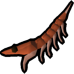 Giant krill