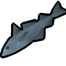 Raw haddock