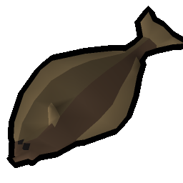 Raw halibut