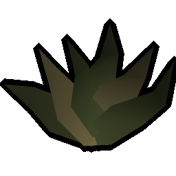 Goutweed