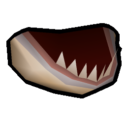 Bull shark jaw