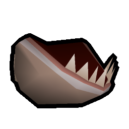Tiger shark jaw