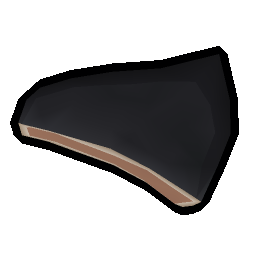 Manta ray fin