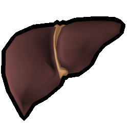 Tiger shark liver