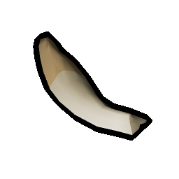 Orca teeth