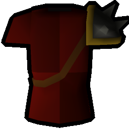 25th anniversary warrior tabard