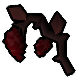 Grapevine
