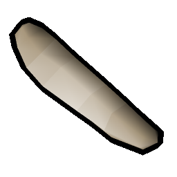 Maggot egg