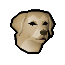 Labrador puppy