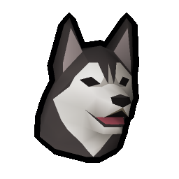 Husky puppy