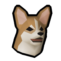 Corgi puppy