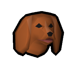 Spaniel puppy