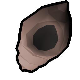 Shell C