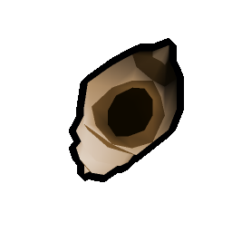 Shell A