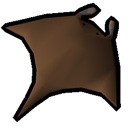 Manta ray