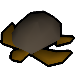 Sea turtle