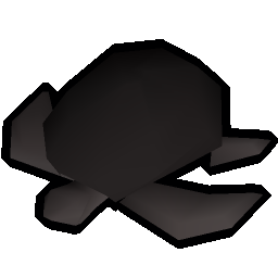 Burnt sea turtle