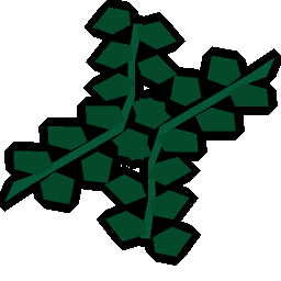 Edible seaweed