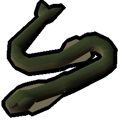 Raw cave eel