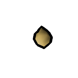 Orange tree seed