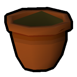 Apple seedling
