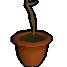 Orange sapling