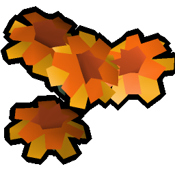 Marigolds