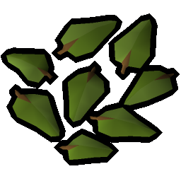 Leaves