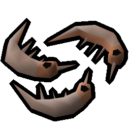 Raw shrimps