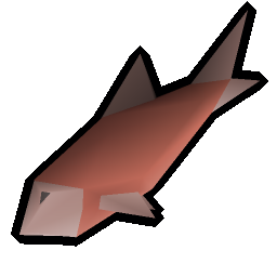 Raw salmon