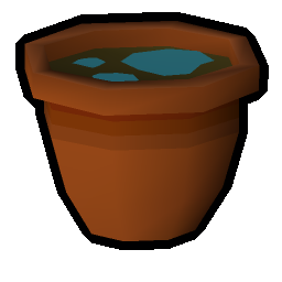 Yew seedling (w)