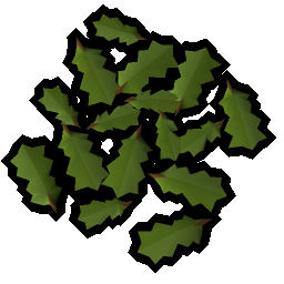 Oak leaves