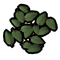 Willow leaves