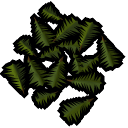 Yew leaves