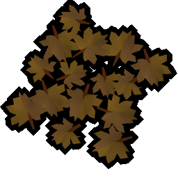 Maple leaves