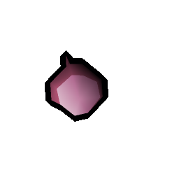 Pink rose seed