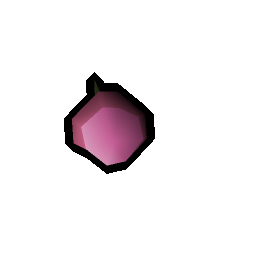 Orchid seed
