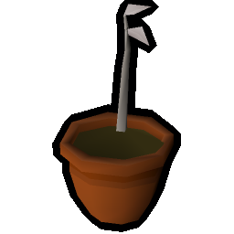 White tree sapling