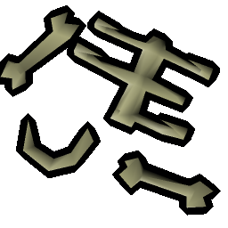 Animals' bones