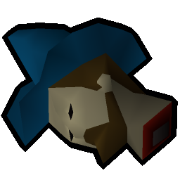 Wizard's head