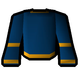 Wizard robe (g)